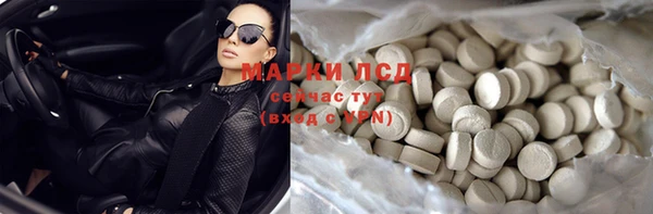 ECSTASY Алзамай