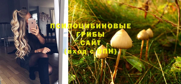 синтетический гашиш Алексин