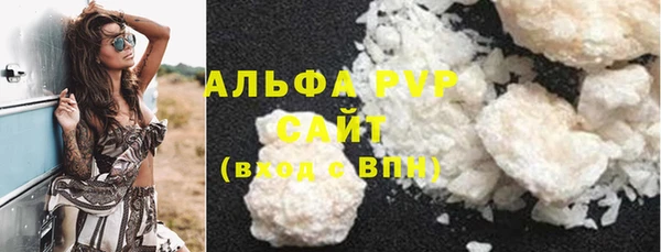 ECSTASY Алзамай