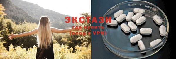 ECSTASY Алзамай