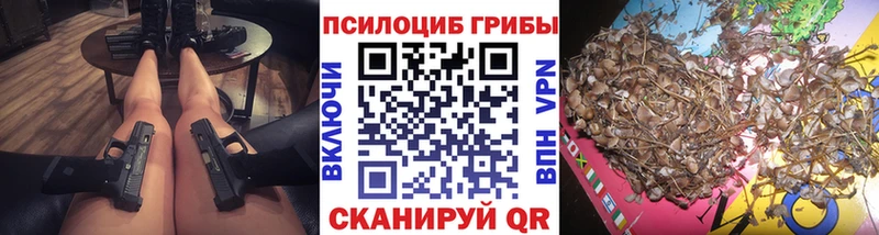 наркота  Бикин  Псилоцибиновые грибы мицелий 